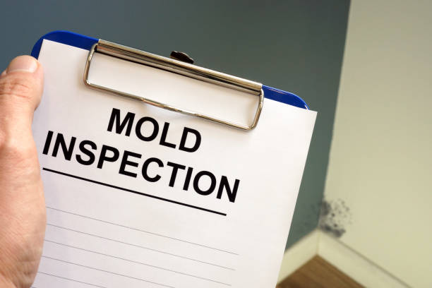 Best Water Damage & Mold Remediation  in Dallas Center, IA